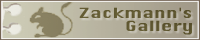Zackmann`s Main Page